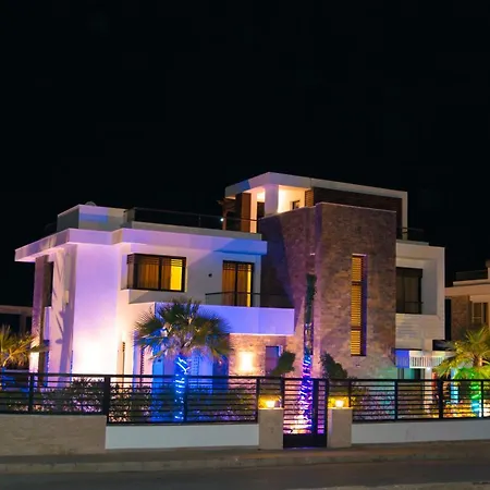 Palmen Villa