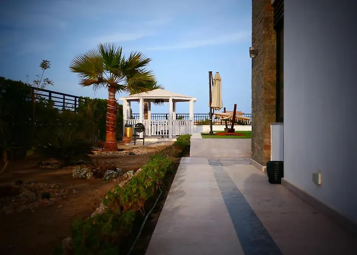 Palmen * Hurgada